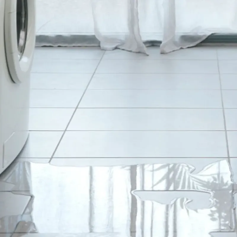 Appliance Leak Cleanup in Montague, TX