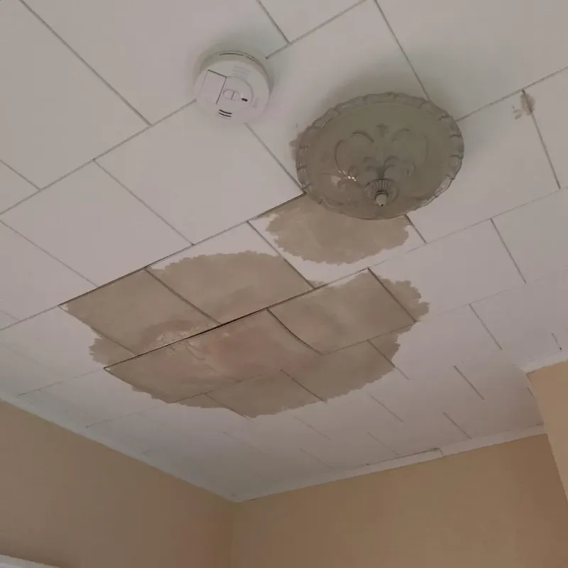 Ceiling Water Damage Repair in Montague, TX