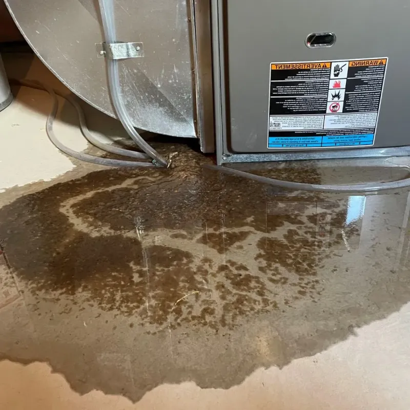 Pipe Burst and Leak Restoration in Montague, TX
