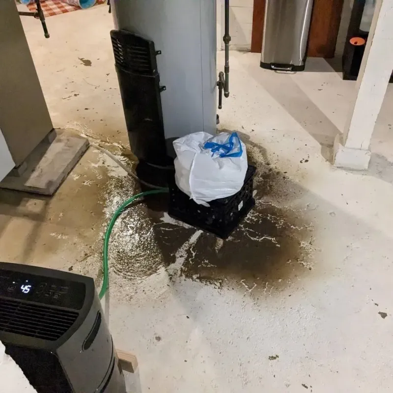Sewage Backup Cleanup Service in Montague, TX